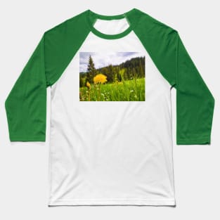 Carpathians vegetation Baseball T-Shirt